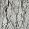 Antique Marble 7 Panel Package Deal